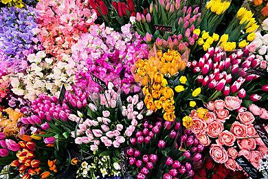 还有更多！《星刃》将在发售之后添加更多服装外观